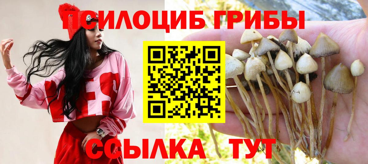 Галлюциногенные грибы прущие грибы  Вход с VPN  Саяногорск 